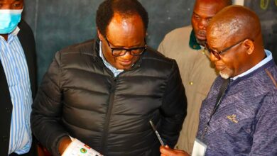 Brian Mundubile and Makebi Zulu have been handed to police for questioning as authorities investigate alleged national security concerns.